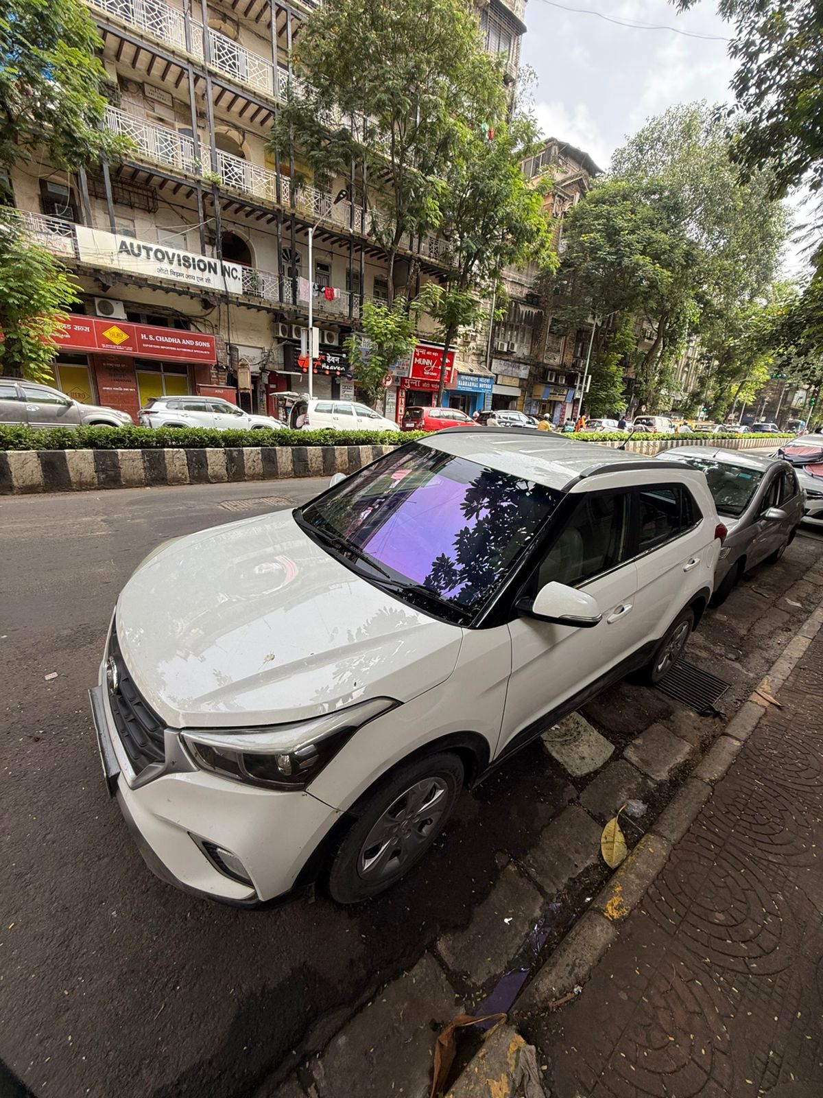 Purple Chameleon Tint