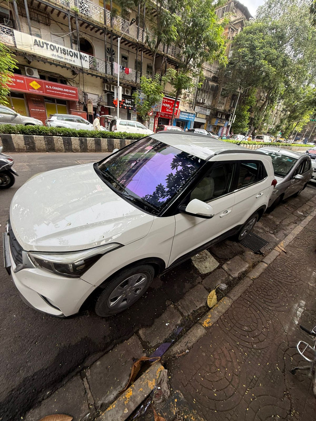 Purple Chameleon Tint