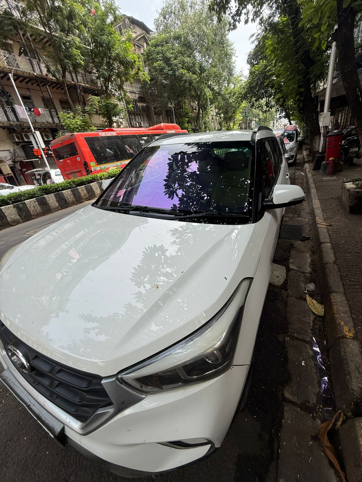 Purple Chameleon Tint