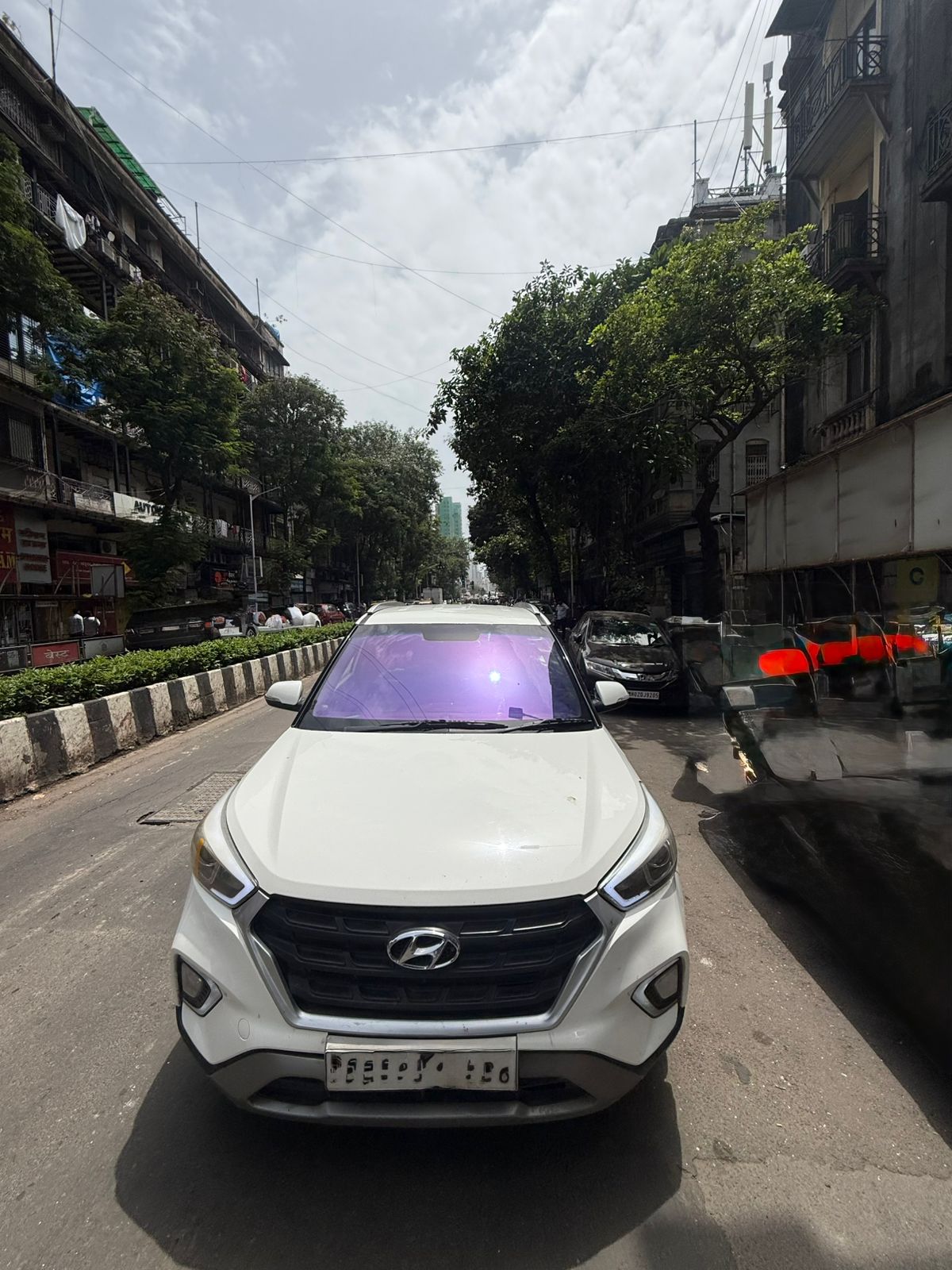 Purple Chameleon Tint