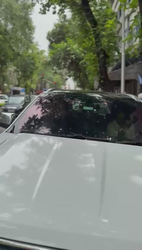 Red Ghost Chameleon Tint